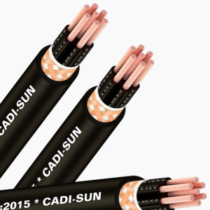 Cáp điều khiển có lưới chống nhiễu - DVV/SB