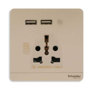 Ổ cắm đơn kèm sạc USB Schneider E8342616USB_WG_G19